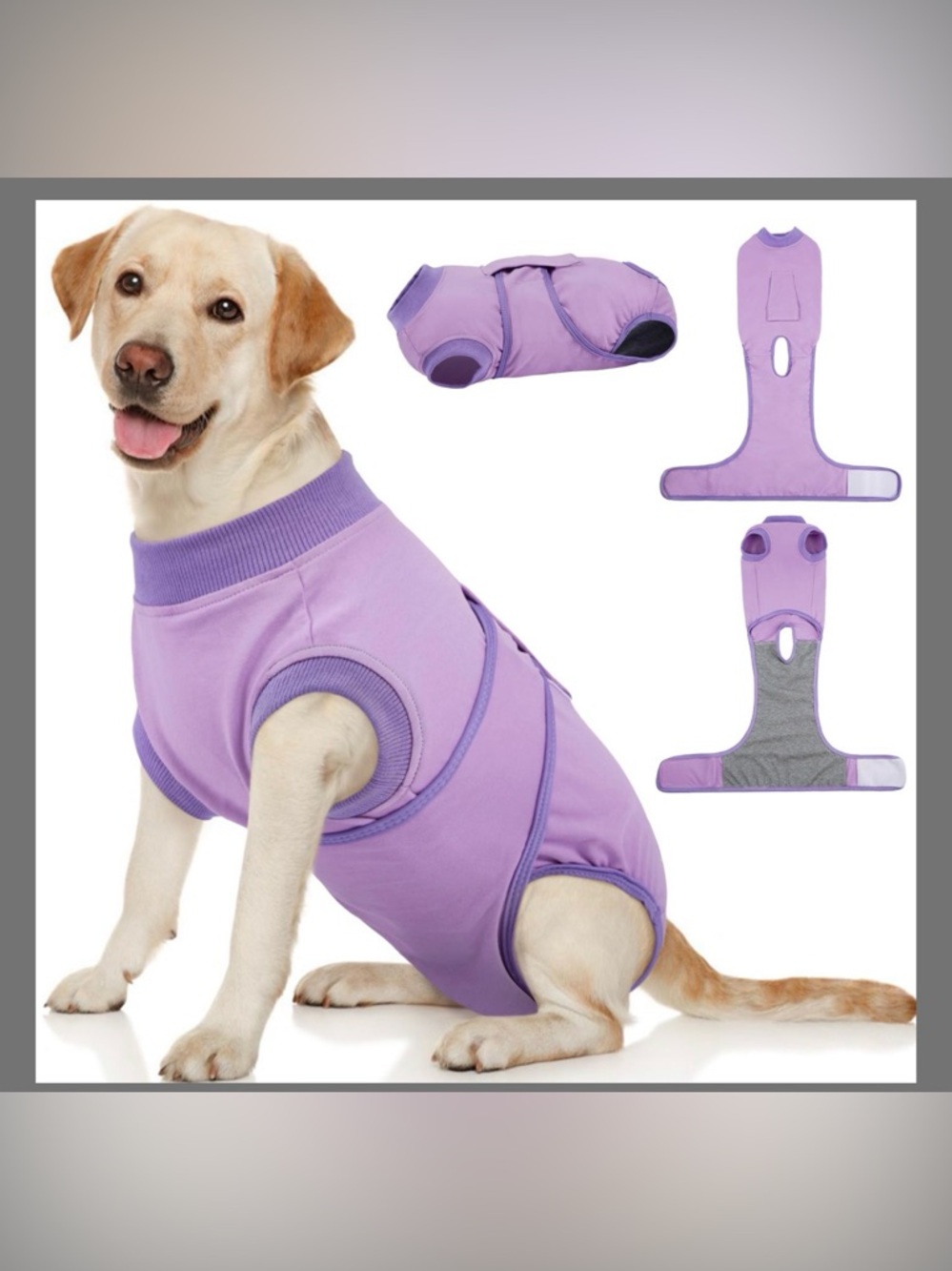 Pet Clothes For Surgery Substitute E-Collar & Cone